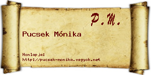 Pucsek Mónika névjegykártya